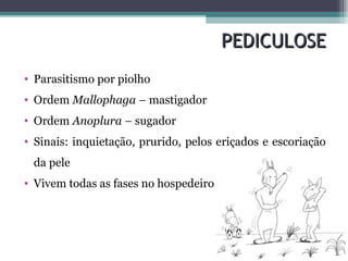 PEDICULOSEPEDICULOSE
• Parasitismo por piolho
• Ordem Mallophaga – mastigador
• Ordem Anoplura – sugador
• Sinais: inquietação, prurido, pelos eriçados e escoriação
da pele
• Vivem todas as fases no hospedeiro
 