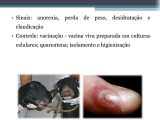 • Sinais: anorexia, perda de peso, desidratação e
claudicação
• Controle: vacinação - vacina viva preparada em culturas
celulares; quarentena; isolamento e higienização
 