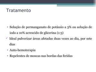 Tratamento
• Solução de permanganato de potássio a 3% ou solução de
iodo a 10% acrescido de glicerina (1:3)
 Ideal pulverizar áreas afetadas duas vezes ao dia, por sete
dias
• Auto-hemoterapia
• Repelentes de moscas nas bordas das feridas
 