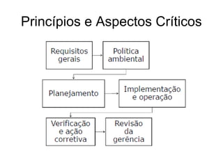 Princípios e Aspectos Críticos
 
