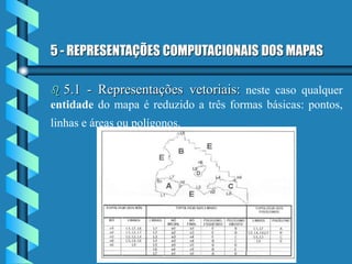 5 - REPRESENTAÇÕES COMPUTACIONAIS DOS MAPAS
 5.1 - Representações vetoriais: neste caso qualquer
entidade do mapa é reduzido a três formas básicas: pontos,
linhas e áreas ou polígonos.
 