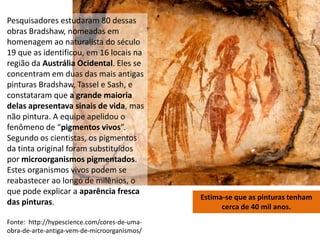 Pesquisadores estudaram 80 dessas
obras Bradshaw, nomeadas em
homenagem ao naturalista do século
19 que as identificou, em 16 locais na
região da Austrália Ocidental. Eles se
concentram em duas das mais antigas
pinturas Bradshaw, Tassel e Sash, e
constataram que a grande maioria
delas apresentava sinais de vida, mas
não pintura. A equipe apelidou o
fenômeno de “pigmentos vivos”.
Segundo os cientistas, os pigmentos
da tinta original foram substituídos
por microorganismos pigmentados.
Estes organismos vivos podem se
reabastecer ao longo de milênios, o
que pode explicar a aparência fresca
das pinturas.
Fonte: http://hypescience.com/cores-de-uma-
obra-de-arte-antiga-vem-de-microorganismos/
Estima-se que as pinturas tenham
cerca de 40 mil anos.
 