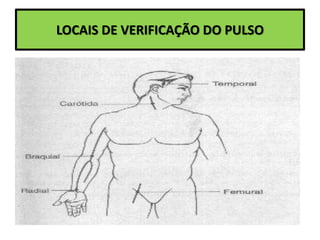LOCAIS DE VERIFICAÇÃO DO PULSO
 