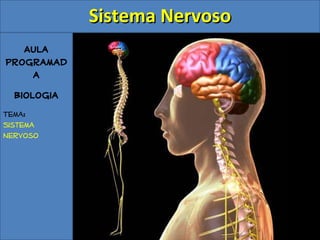 Aula
Programad
a
Biologia
Tema:
Sistema
Nervoso
Sistema NervosoSistema Nervoso
 
