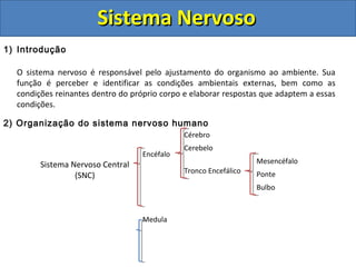 Sistema NervosoSistema Nervoso
1) Introdução
O sistema nervoso é responsável pelo ajustamento do organismo ao ambiente. Sua
função é perceber e identificar as condições ambientais externas, bem como as
condições reinantes dentro do próprio corpo e elaborar respostas que adaptem a essas
condições.
2) Organização do sistema nervoso humano
Sistema Nervoso Central
(SNC)
Encéfalo
Cérebro
Cerebelo
Tronco Encefálico
Mesencéfalo
Ponte
Bulbo
Medula
 