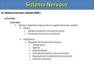 Sistema NervosoSistema Nervoso
 