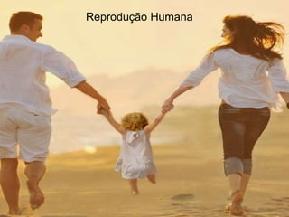 Reprodução Humana
 