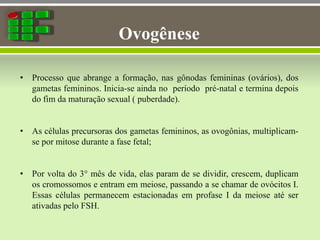 Ovogênese
• Processo que abrange a formação, nas gônodas femininas (ovários), dos
gametas femininos. Inicia-se ainda no período pré-natal e termina depois
do fim da maturação sexual ( puberdade).
• As células precursoras dos gametas femininos, as ovogônias, multiplicam-
se por mitose durante a fase fetal;
• Por volta do 3° mês de vida, elas param de se dividir, crescem, duplicam
os cromossomos e entram em meiose, passando a se chamar de ovócitos I.
Essas células permanecem estacionadas em profase I da meiose até ser
ativadas pelo FSH.
 