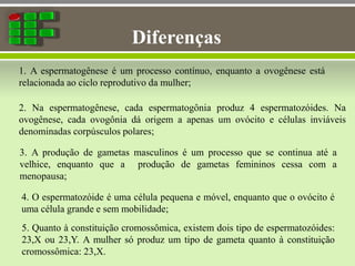 Diferenças
1. A espermatogênese é um processo contínuo, enquanto a ovogênese está
relacionada ao ciclo reprodutivo da mulher;
2. Na espermatogênese, cada espermatogônia produz 4 espermatozóides. Na
ovogênese, cada ovogônia dá origem a apenas um ovócito e células inviáveis
denominadas corpúsculos polares;
3. A produção de gametas masculinos é um processo que se continua até a
velhice, enquanto que a produção de gametas femininos cessa com a
menopausa;
4. O espermatozóide é uma célula pequena e móvel, enquanto que o ovócito é
uma célula grande e sem mobilidade;
5. Quanto à constituição cromossômica, existem dois tipo de espermatozóides:
23,X ou 23,Y. A mulher só produz um tipo de gameta quanto à constituição
cromossômica: 23,X.
 