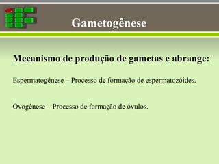 Gametogênese
Mecanismo de produção de gametas e abrange:
Espermatogênese – Processo de formação de espermatozóides.
Ovogênese – Processo de formação de óvulos.
 