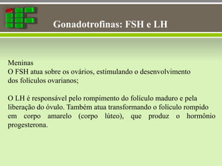 Gonadotrofinas: FSH e LH
Meninas
O FSH atua sobre os ovários, estimulando o desenvolvimento
dos folículos ovarianos;
O LH é responsável pelo rompimento do folículo maduro e pela
liberação do óvulo. Também atua transformando o folículo rompido
em corpo amarelo (corpo lúteo), que produz o hormônio
progesterona.
 