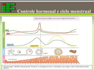 Controle hormonal e ciclo menstrual
 
