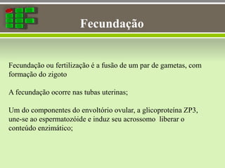Fecundação
Fecundação ou fertilização é a fusão de um par de gametas, com
formação do zigoto
A fecundação ocorre nas tubas uterinas;
Um do componentes do envoltório ovular, a glicoproteína ZP3,
une-se ao espermatozóide e induz seu acrossomo liberar o
conteúdo enzimático;
 