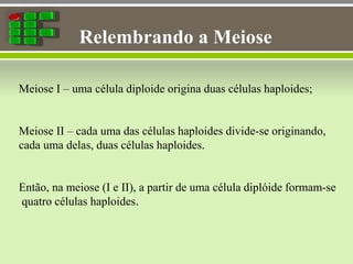 Relembrando a Meiose
Meiose I – uma célula diploide origina duas células haploides;
Meiose II – cada uma das células haploides divide-se originando,
cada uma delas, duas células haploides.
Então, na meiose (I e II), a partir de uma célula diplóide formam-se
quatro células haploides.
 