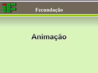 Fecundação
 
