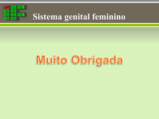 Sistema genital feminino
 
