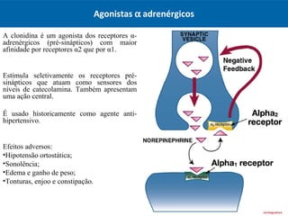 Farmacologia adrenérgica - Farmacologia I