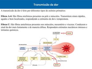 Transmissão da dor
A transmissão da dor é feito por diferentes tipos de axônios primários:
Fibras A-δ: São fibras mielínic...