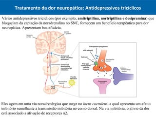Tratamento da dor neuropática: Antidepressivos tricíclicos
Vários antidepressivos tricíclicos (por exemplo, amitriptilina,...