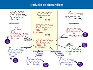 Produção de eicosanóides
 