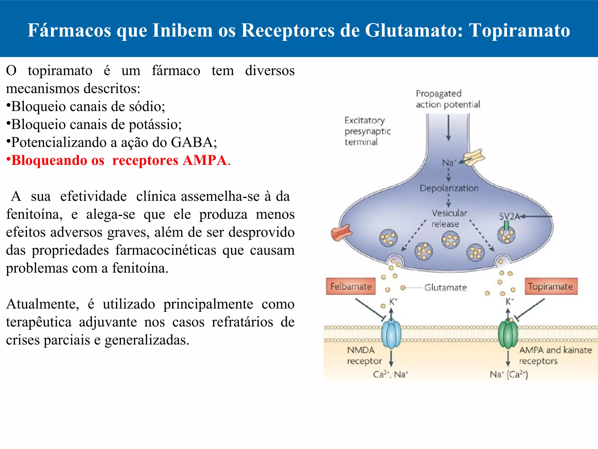 Fármacos que Inibem os Receptores de Glutamato: Topiramato
O topiramato é um fármaco tem diversos
mecanismos descritos:
•Bloqueio canais de sódio;
•Bloqueio canais de potássio;
•Potencializando a ação do GABA;
•Bloqueando os receptores AMPA.
A sua efetividade clínica assemelha-se à da
fenitoína, e alega-se que ele produza menos
efeitos adversos graves, além de ser desprovido
das propriedades farmacocinéticas que causam
problemas com a fenitoína.
Atualmente, é utilizado principalmente como
terapêutica adjuvante nos casos refratários de
crises parciais e generalizadas.
 
