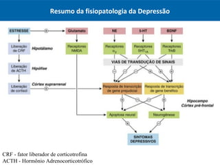Resumo da fisiopatologia da Depressão
CRF - fator liberador de corticotrofina
ACTH - Hormônio Adrenocorticotrófico 
 