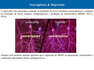 Neurogênese & Depressão
Estudos com modelos animais apontam que a aplicação de BDNF no hipocampo, mesencéfalo e
ventrículos apresentam efeitos antidepressivos.
A depressão está associada a redução da produção de novos neurônios (neurogênese), a redução
da formação de novas sinapses (sinaptogênese) e produção de neurotrofinas (BDNF, NT3 e
NT4).
 