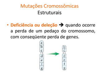 Mutações Cromossômicas
Estruturais
• Deficiência ou deleção  quando ocorre
a perda de um pedaço do cromossomo,
com conseqüente perda de genes.
 