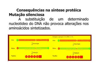 Consequências na síntese protéica
Mutação silenciosa
A substituição de um determinado
nucleotideo do DNA não provoca alterações nos
aminoácidos sintetizados.
 