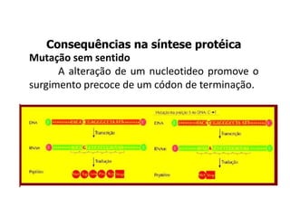 Consequências na síntese protéica
Mutação sem sentido
A alteração de um nucleotideo promove o
surgimento precoce de um códon de terminação.
 