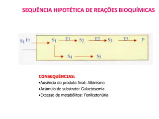 SEQUÊNCIA HIPOTÉTICA DE REAÇÕES BIOQUÍMICAS
CONSEQUÊNCIAS:
•Ausência do produto final: Albinismo
•Acúmulo de substrato: Galactosemia
•Excesso de metabólitos: Fenilcetonúria
 