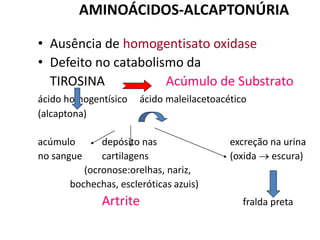 AMINOÁCIDOS-ALCAPTONÚRIA
• Ausência de homogentisato oxidase
• Defeito no catabolismo da
TIROSINA Acúmulo de Substrato
ácido homogentísico ácido maleilacetoacético
(alcaptona)
acúmulo depósito nas excreção na urina
no sangue cartilagens (oxida  escura)
(ocronose:orelhas, nariz,
bochechas, escleróticas azuis)
Artrite fralda preta
 