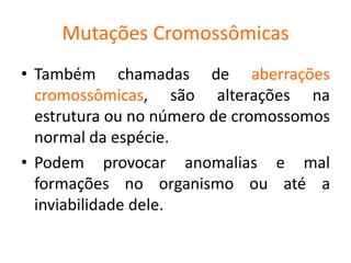 Mutações Cromossômicas
• Também chamadas de aberrações
cromossômicas, são alterações na
estrutura ou no número de cromossomos
normal da espécie.
• Podem provocar anomalias e mal
formações no organismo ou até a
inviabilidade dele.
 
