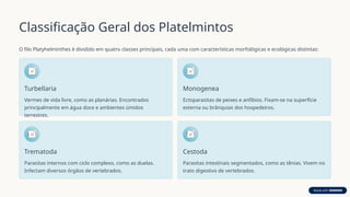 Classificação Geral dos Platelmintos
O filo Platyhelminthes é dividido em quatro classes principais, cada uma com características morfológicas e ecológicas distintas:
Turbellaria
Vermes de vida livre, como as planárias. Encontrados
principalmente em água doce e ambientes úmidos
terrestres.
Monogenea
Ectoparasitas de peixes e anfíbios. Fixam-se na superfície
externa ou brânquias dos hospedeiros.
Trematoda
Parasitas internos com ciclo complexo, como as duelas.
Infectam diversos órgãos de vertebrados.
Cestoda
Parasitas intestinais segmentados, como as tênias. Vivem no
trato digestivo de vertebrados.
 