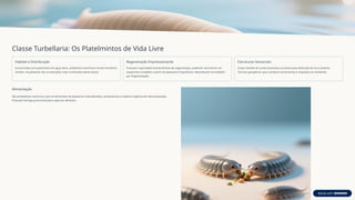 Classe Turbellaria: Os Platelmintos de Vida Livre
Habitat e Distribuição
Encontradas principalmente em água doce, ambientes marinhos e locais terrestres
úmidos. As planárias são os exemplos mais conhecidos desta classe.
Regeneração Impressionante
Possuem capacidade extraordinária de regeneração, podendo reconstruir um
organismo completo a partir de pequenos fragmentos. Reproduzem-se também
por fragmentação.
Estruturas Sensoriais
Corpo dotado de ocelos (manchas oculares) para detecção de luz e sistema
nervoso ganglionar que coordena movimentos e respostas ao ambiente.
Alimentação
São predadores carnívoros que se alimentam de pequenos invertebrados, protozoários e matéria orgânica em decomposição.
Possuem faringe protrusível para capturar alimento.
 