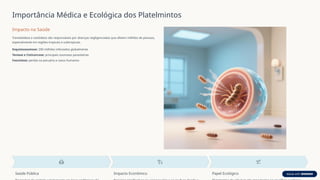 Importância Médica e Ecológica dos Platelmintos
Impacto na Saúde
Trematódeos e cestódeos são responsáveis por doenças negligenciadas que afetam milhões de pessoas,
especialmente em regiões tropicais e subtropicais.
Esquistossomose: 200 milhões infectados globalmente
Teníase e Cisticercose: principais zoonoses parasitárias
Fasciolose: perdas na pecuária e casos humanos
Saúde Pública Impacto Econômico Papel Ecológico
 