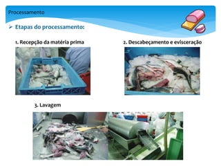 Processamento 
 Etapas do processamento: 
1. Recepção da matéria prima 2. Descabeçamento e evisceração 
3. Lavagem 
 
