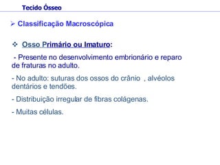 Osso P rimário ou Imaturo : - Presente no desenvolvimento embrionário e reparo de fraturas no adulto. No adulto: suturas dos ossos do crânio , alvéolos dentários e tendões. Distribuição irregular de fibras colágenas. Muitas células. Tecido Ósseo Classificação Macroscópica 