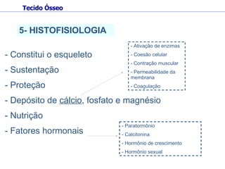 Constitui o esqueleto  Sustentação  Proteção  Depósito de  cálcio , fosfato e magnésio Nutrição  Fatores hormonais  5- HISTOFISIOLOGIA Tecido Ósseo - Ativação de enzimas  - Coesão celular - Contração muscular - Permeabilidade da membrana - Coagulação  - Paratormônio - Calcitonina - Hormônio de crescimento - Hormônio sexual  