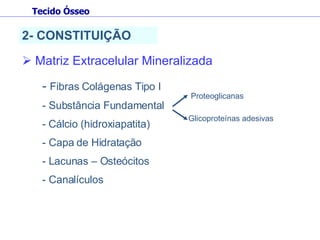 Matriz Extracelular Mineralizada -   Fibras Colágenas Tipo I - Substância Fundamental Cálcio (hidroxiapatita) - Capa de Hidratação - Lacunas – Osteócitos - Canalículos Proteoglicanas Glicoproteínas adesivas Tecido Ósseo 2- CONSTITUIÇÃO 