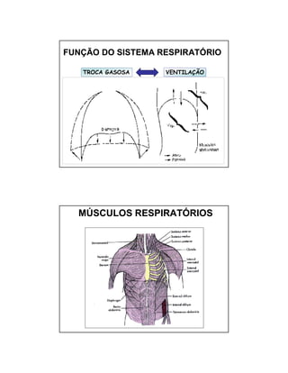 FUNÇÃO DO SISTEMA RESPIRATÓRIO 
TTRROOCCAA GGAASSOOSSAA VENTILAÇÃO 
MÚSCULOS RESPIRATÓRIOS 
 