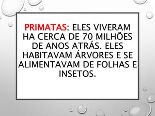 PRIMATAS: ELES VIVERAM
HA CERCA DE 70 MILHÕES
DE ANOS ATRÁS. ELES
HABITAVAM ÁRVORES E SE
ALIMENTAVAM DE FOLHAS E
INSETOS.
 