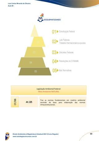 63
Legislação Ambiental Federal:
Meio Ambiente NATURAL
Art. 225
Traz as normas fundamentais em matéria ambiental
servindo de base para elaboração das normas
infraconstitucionais.
CF/88
Luis Carlos Miranda de Oliveira
Aula 00
Direito Ambiental p/ Magistratura Estadual 2021 (Curso Regular)
www.estrategiaconcursos.com.br
1964601
 