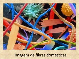 Imagem de fibras domésticas
 
