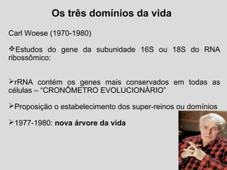 Os três domínios da vida
Carl Woese (1970-1980)
Estudos do gene da subunidade 16S ou 18S do RNA
ribossômico:
rRNA contém os genes mais conservados em todas as
células – “CRONÔMETRO EVOLUCIONÁRIO”
Proposição o estabelecimento dos super-reinos ou domínios
1977-1980: nova árvore da vida
 