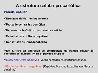 A estrutura celular procariótica
Parede Celular
Estrutura rígida – define a forma
Proteção contra lise osmótica
Representa 20-35% do peso seco da célula;
Endotoxinas em Gram negativas
Constituída de Peptideoglicano
Em função da diferença de composição da parede celular as
bactérias se dividem em dois grandes grupos:
Bactérias Gram positivas (várias camadas de peptideoglicanos)
Bactérias Gram negativas (Peptideoglicanos, lipopolissacarídeos e
proteínas)
 