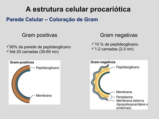 A estrutura celular procariótica
Parede Celular – Coloração de Gram
Gram positivas
90% da parede de peptideoglicano
Até 20 camadas (30-60 nm)
Gram negativas
10 % de peptideoglicano
1-2 camadas (2-3 nm)
 