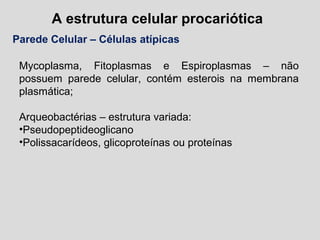 A estrutura celular procariótica
Parede Celular – Células atípicas
Mycoplasma, Fitoplasmas e Espiroplasmas – não
possuem parede celular, contém esterois na membrana
plasmática;
Arqueobactérias – estrutura variada:
•Pseudopeptideoglicano
•Polissacarídeos, glicoproteínas ou proteínas
 