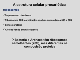 A estrutura celular procariótica
Ribossomos
Dispersos no citoplasma
Ribossomos 70S: constituídos de duas subunidades 50S e 30S
Síntese protéica
Alvo de vários antimicrobianos
Bacteria e Archaea têm ribossomos
semelhantes (70S), mas diferentes na
composição proteica
 