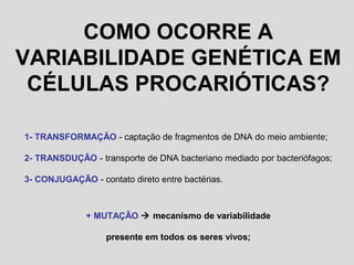 COMO OCORRE A
VARIABILIDADE GENÉTICA EM
CÉLULAS PROCARIÓTICAS?
1- TRANSFORMAÇÃO - captação de fragmentos de DNA do meio ambiente;
2- TRANSDUÇÃO - transporte de DNA bacteriano mediado por bacteriófagos;
3- CONJUGAÇÃO - contato direto entre bactérias.
+ MUTAÇÃO  mecanismo de variabilidade
presente em todos os seres vivos;
 